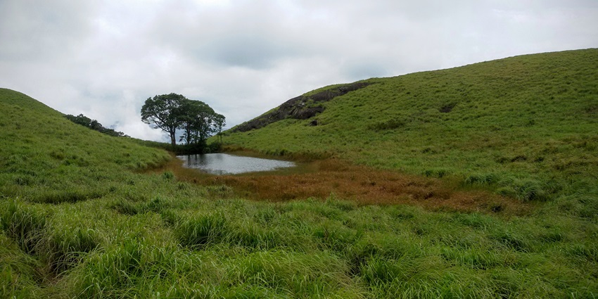 Chembra Peak Trek is one of the most fascinating places to enjoy trekking in Kerala.