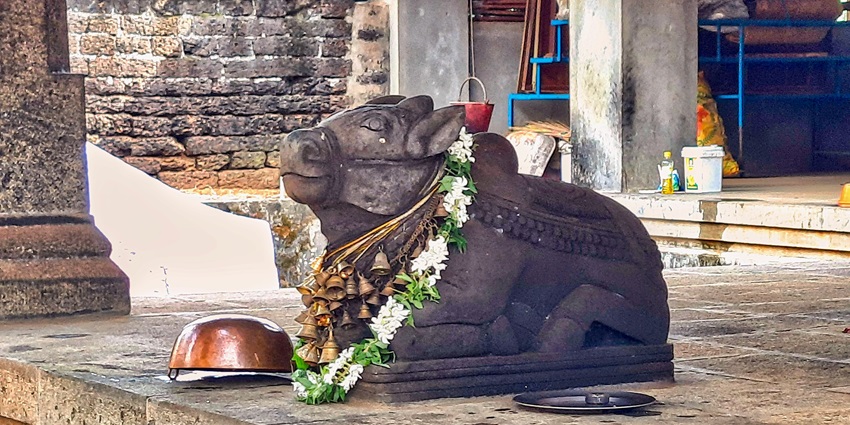 A picture of the idol of Lord Shiva’s carrier, Bull Nandi, at a temple in Kerala