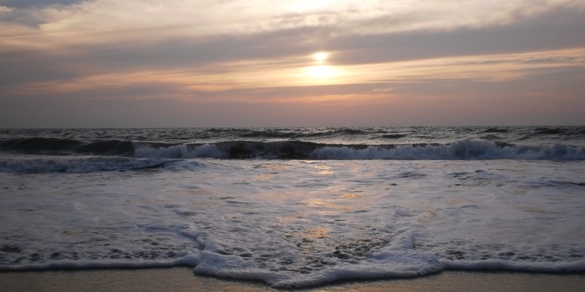 A small wave approaching the shore at Cherai beach with a beautiful setting sun in the background