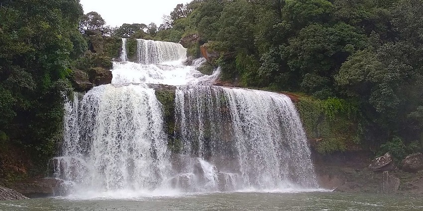 A breathtaking view of a waterfall in Cherrapunji encircled by lush trees during the day.