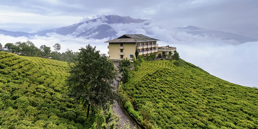 View of Cherry Resort inside Temi Tea Garden, Namchi, Sikkim - near Phodong Monastery