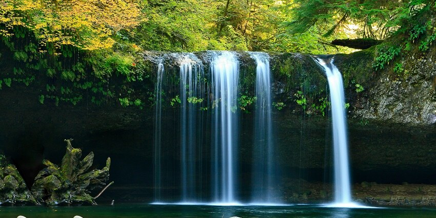 A view of water cascading down and mixing into a serene river surrounded by dense trees.