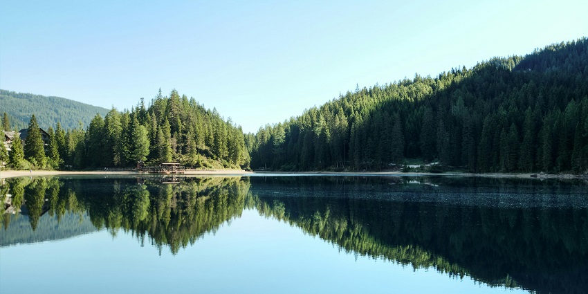 Chilavannoor Lake is one of the best places to visit near Tripunithura Temple.