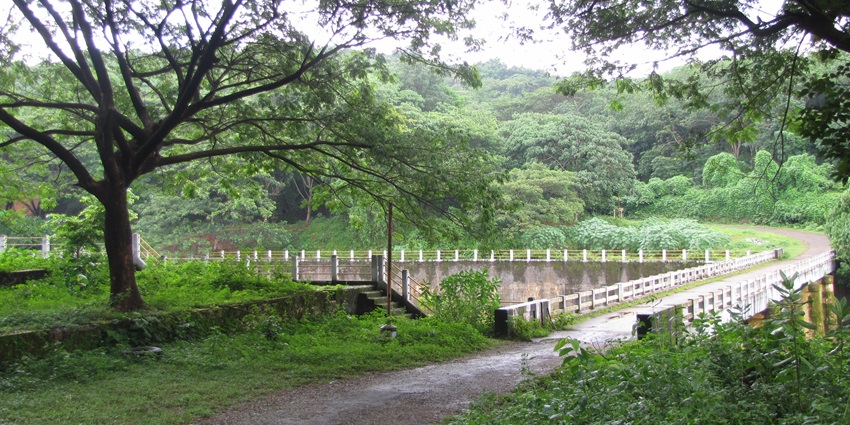 Watch wildlife in action amidst tropical rainforests at the Chimmini Wildlife Sanctuary