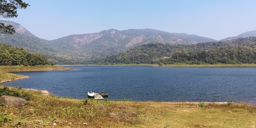 A protected forest is rich in flora, fauna, and trekking trails near Marottichal Waterfalls.
