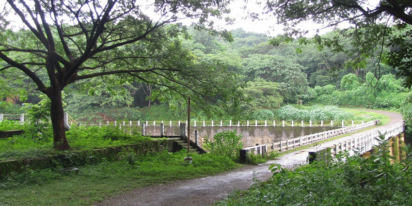 Chimmony Wildlife Sanctuary in Kerala featuring dense forest, hills, and tranquil nature