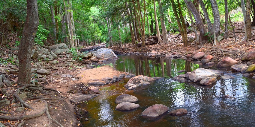 Image of Chinnar Wildlife Sanctuary - one of the Iduki National Parks to explore