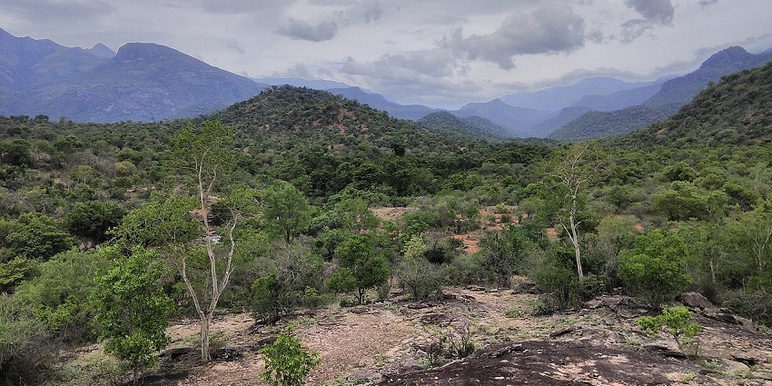 This wildlife sanctuary is the best place to explore for all nature and wildlife lovers