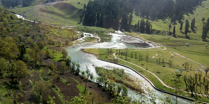 Chinta Valley is nestled between the Himalayan Hills and has coniferous trees