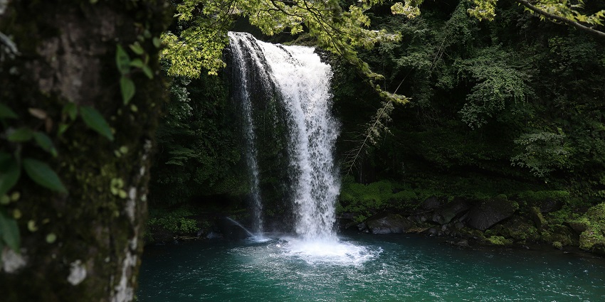 A glimpse of Chintalapudi Waterfalls, one of the astonishing waterfalls in East Godavari.