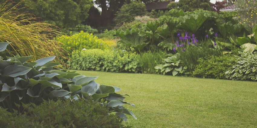 This serene landscaped garden showcases a diverse collection of plants, flowers, and trees.