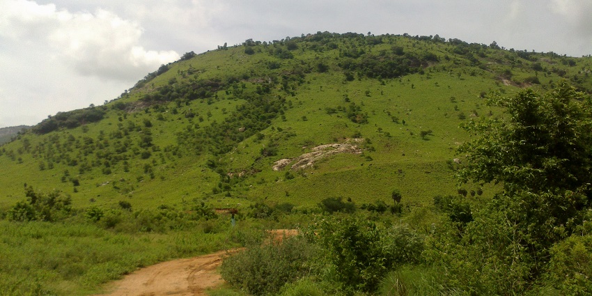 Snapshot of a beautiful green covered hill in Chittor district around Narayanavanam Temple