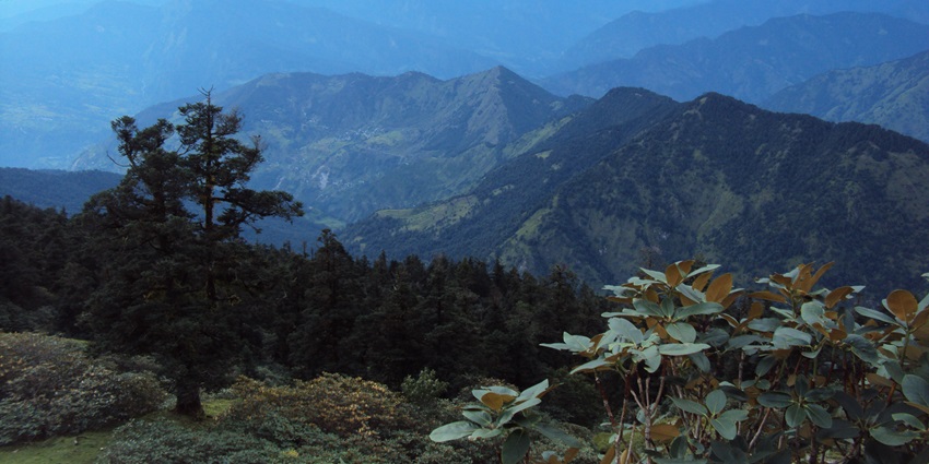 A picture of distant hills taken from another green hill with trees and plants