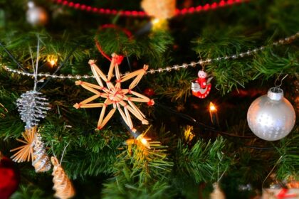 A breathtaking view of assorted decorations and lights on a green a Christmas tree.