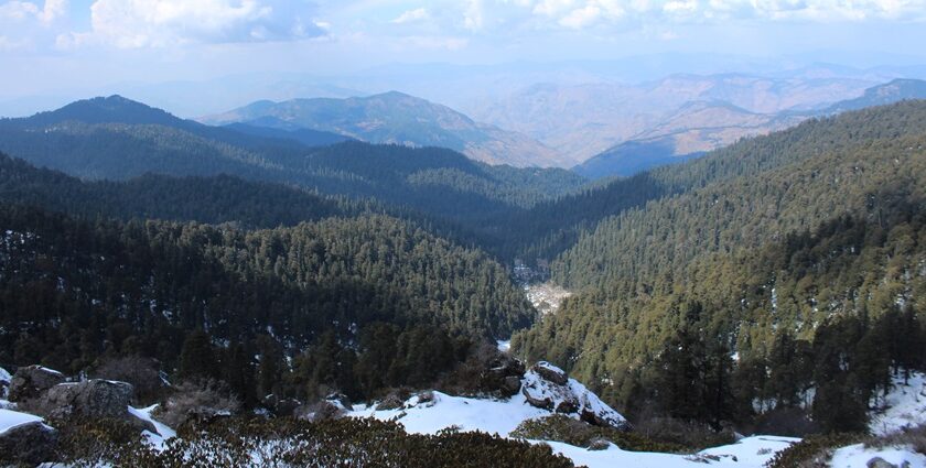 Beautiful panoramic snp of the Churdhar wildlife sanctuary from the hilltop