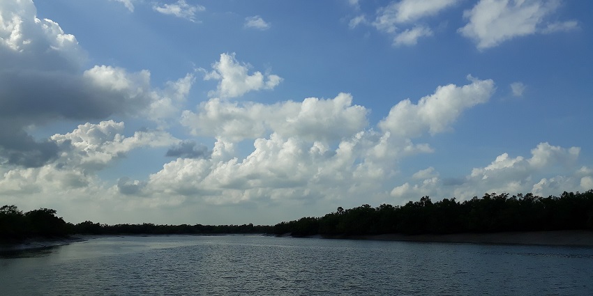 Visit the Senchal Wildlife Sanctuary during the best months to view clear and beautiful skies.