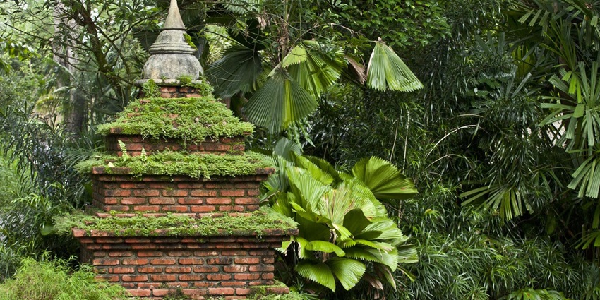 Lush greenery and diverse wildlife in the Singapore Zoo's rainforest exhibit.