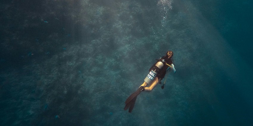 Person diving underwater in the ocean, surrounded by blue water and marine life.