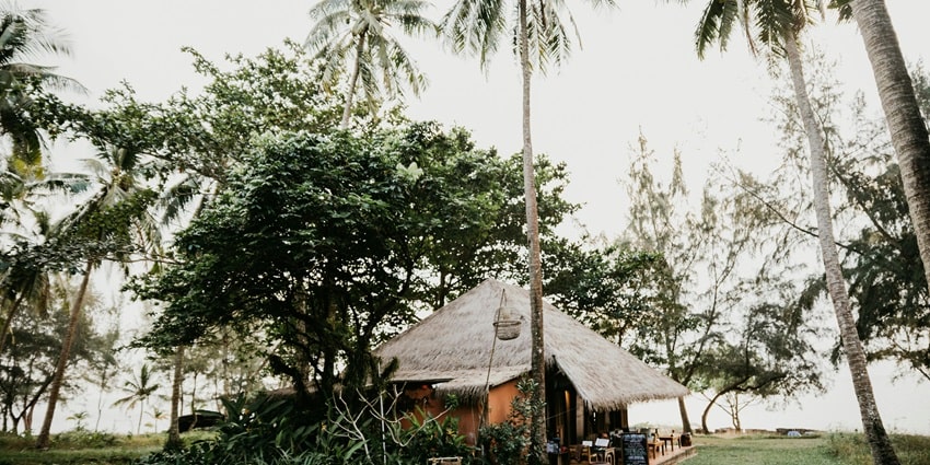 The beautiful snapshot of a cottage under the green palm trees in its vicinity