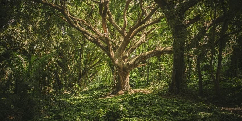 Craignano Park is one of the most famous attractions for every traveller to explore.