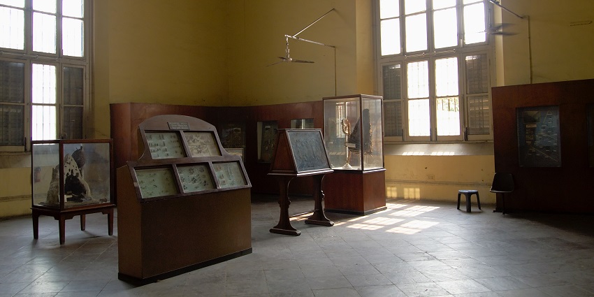Learn about the rich history at the Mizoram State Museum located in Aizawl, India.