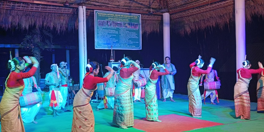 Snapshot of the Folk Dance and Cultural Show one of the best things to do in Kaziranga