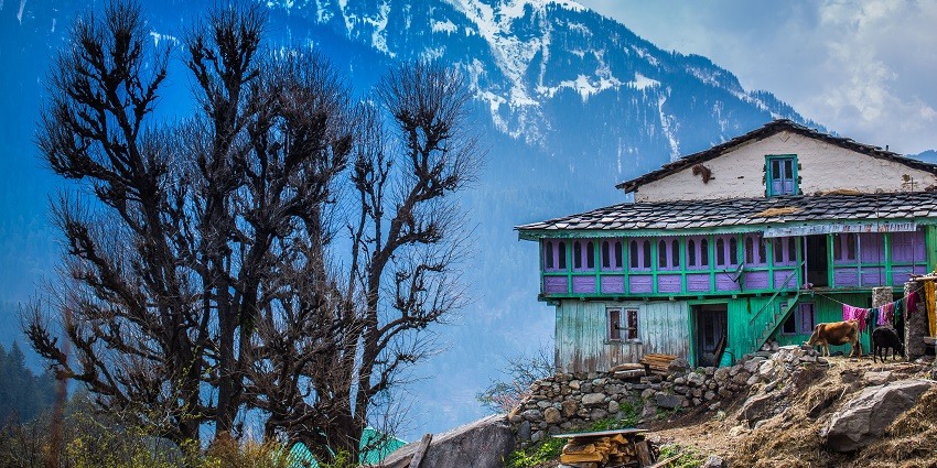 Dadar is a serene village in Himachal that has dense forests and tranquil trekking trails