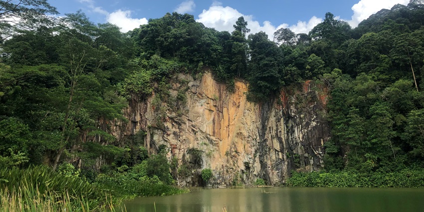 Image of Singapore Quarry in Dairy Farm Nature Park lush greenery on top of the rocky hill and trails around