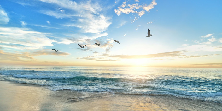 Dalawella water body is one of the famous beaches in Galle for an immersive experience.