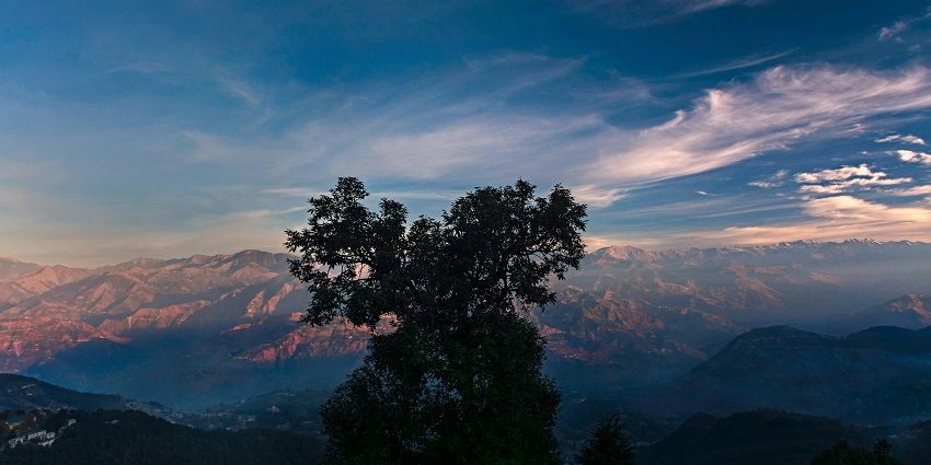 Stunning view of Dalhousie's mountain landscape with a vibrant sky and silhouetted tree