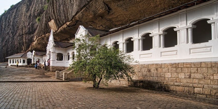 Enjoy a wellness retreat in Dambulla where you and your partner can enjoy yoga