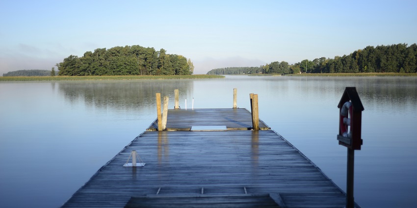 A glimpse of the shimmering waters surrounded by lush green trees of the Damdama Lake.