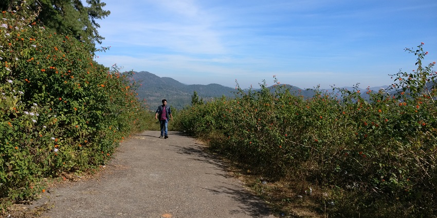Daringbadi offers one of the best camping in Puri for your splendid vacation.