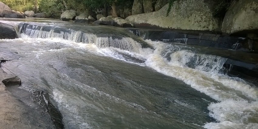 Daringbadi is a hill station located in the Kandhamal district known for its pine forests.
