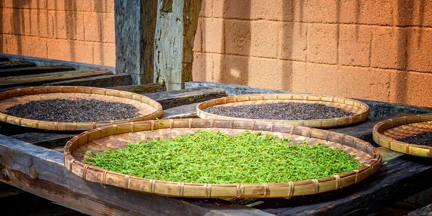 A view of three plates in an open shop selling tea leaves of various kinds during the day.