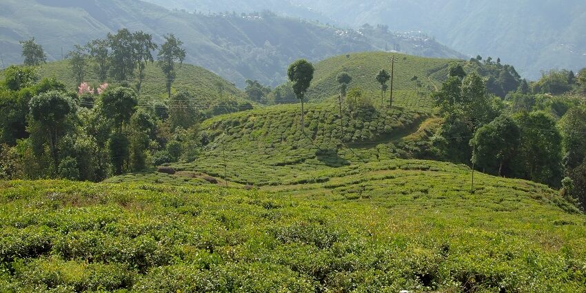 Darjeeling is a spectacular city in West Bengal with stunning natural landscapes.