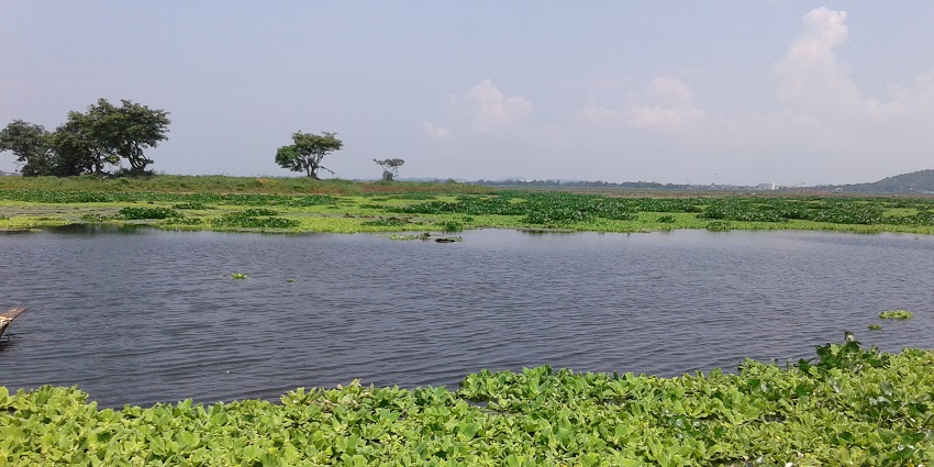 Panoramic view of the Deepor Beel in Kamrup district of Assam, a must-visit place