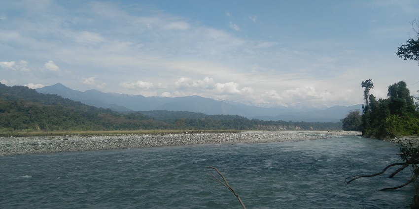 Dehing River , with lush greenery around, presents a tranquil option for strolls and relaxation.