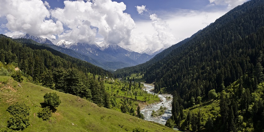 A mesmerising view of a valley with lush green trees located in Jammu and Kashmir.