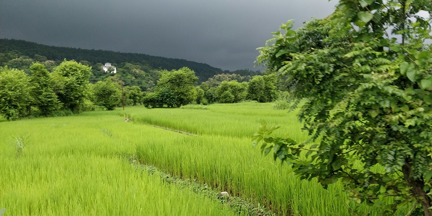 Lush green beauty of Dehradun, one of the serene places to visit near Delhi in January.