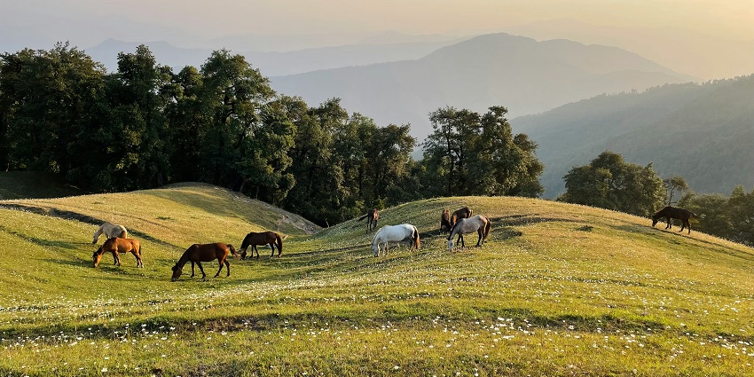 An idyllic view of Dehradun, one of the enchanting places to visit near Delhi in February.