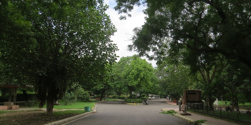 The Delhi Zoo logical path is surrounded by the green vegetation and lush trees