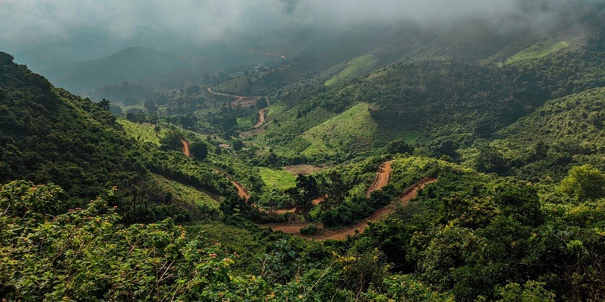 Deomali is one of the highest peaks in Odisha where you can enjoy panoramic views.
