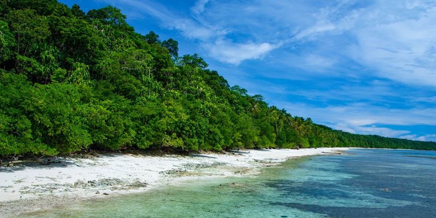 Derawan Beach is one of the best beaches in Indonesia with white sands and a vivid marine life