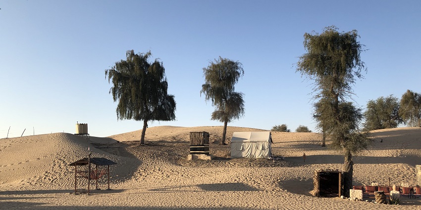 Desert camping gives a unique experience of living under the sky in tents.
