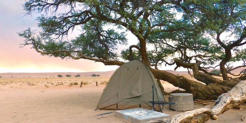 A tent placed beside a tree in a desert during a sunny afternoon