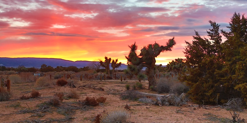 A view of picturesque sunset from the serene desert can mesmerise any tourist.