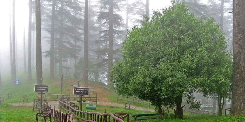 Dhanaulti Eco Park or Adventure Park is one of the popular places for recreational fun.