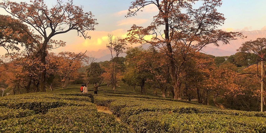 This city is the perfect destination for travellers seeking a adventurous getaway near this museum
