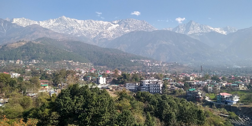 A panoramic view of a scenic hill city with residential apartments and a blanket of greenery